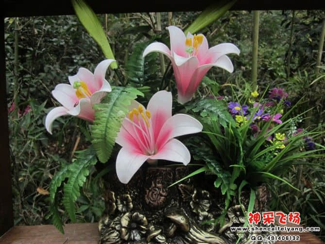 201202.jpg