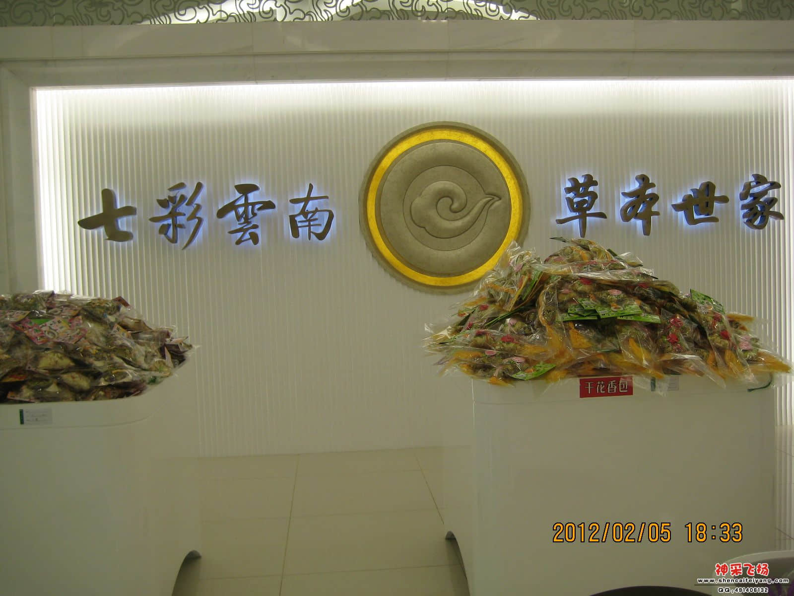 当地的旅游巴