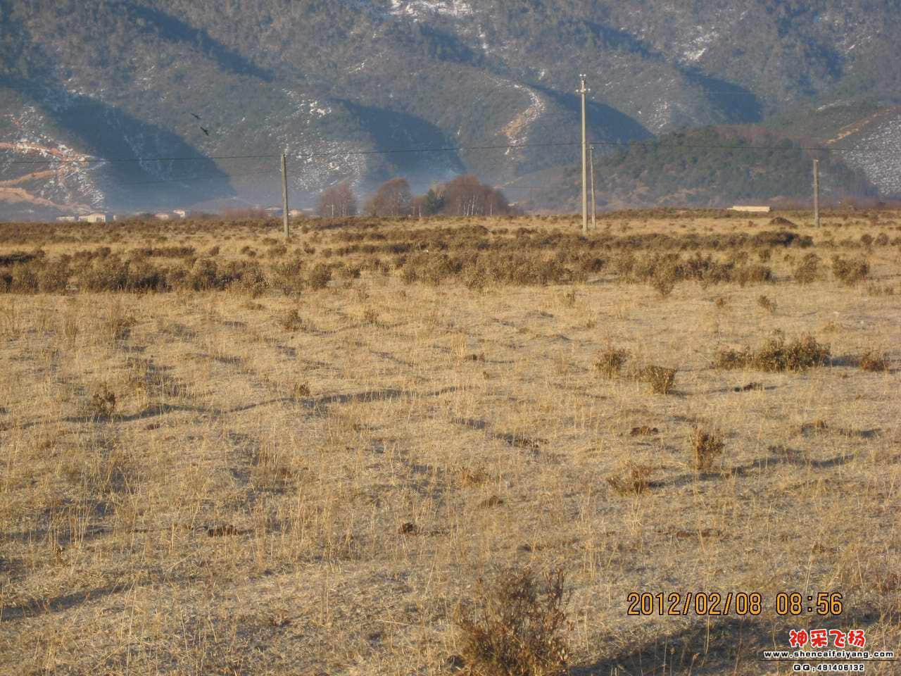 IMG_0594.JPG