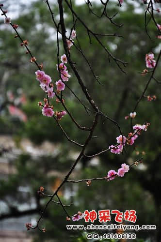 照片 063.jpg