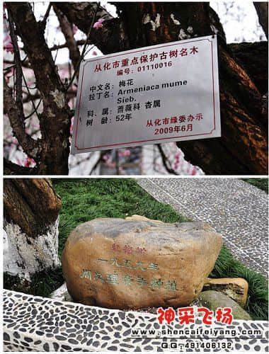 照片 047.jpg