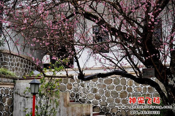 照片 053.jpg