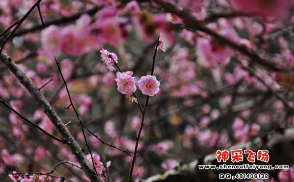 照片 058.jpg