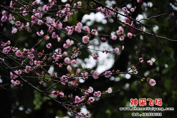 照片 066.jpg