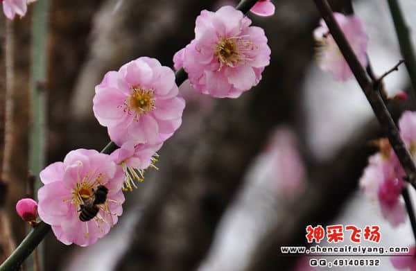 照片 003.jpg
