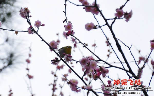 照片 019.jpg