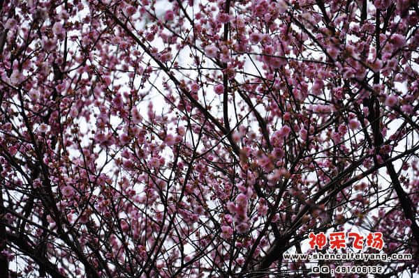 照片 075.jpg