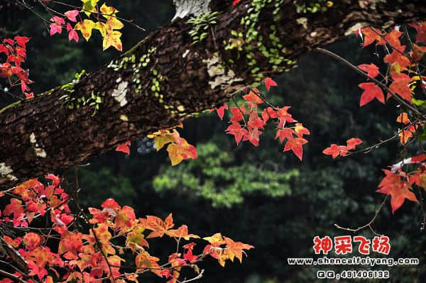 照片 027.jpg