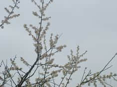 DSCF8340.JPG
