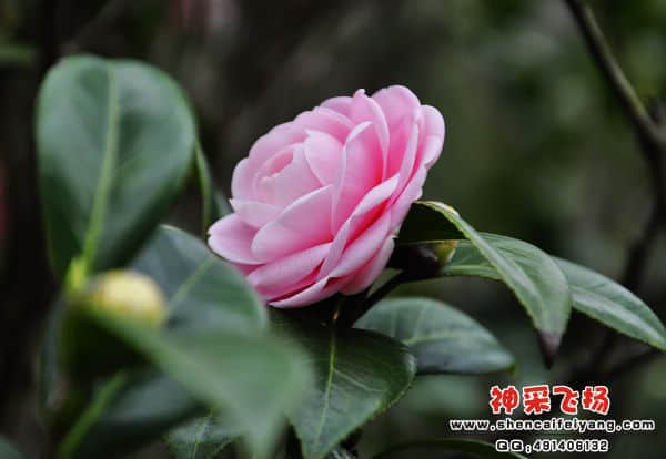照片 155.jpg