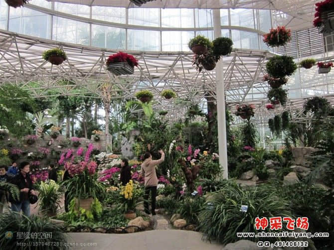 20120212214728.jpg