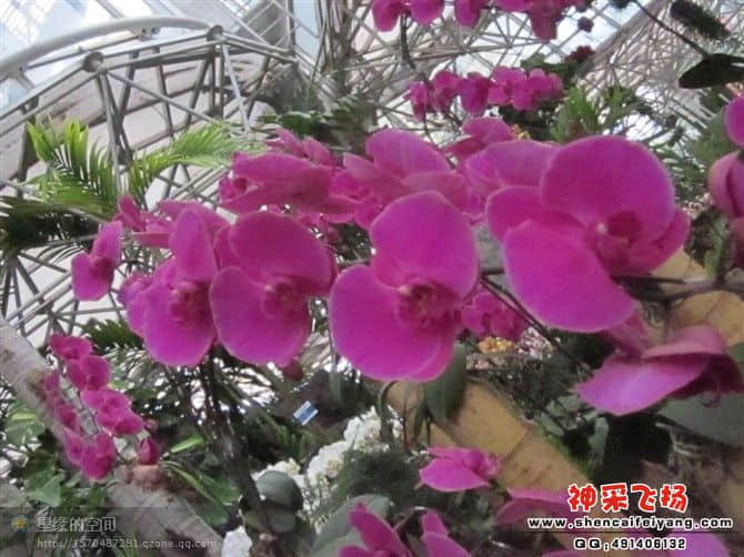 20120212211914.jpg