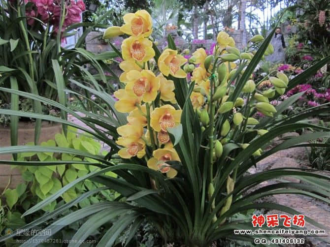 20120212233846.jpg