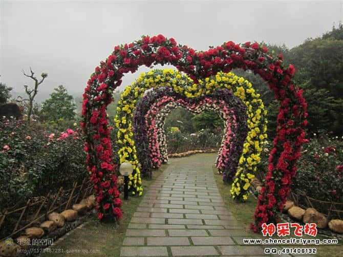 20120212224146.jpg