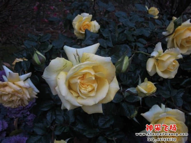 20120212234624.jpg