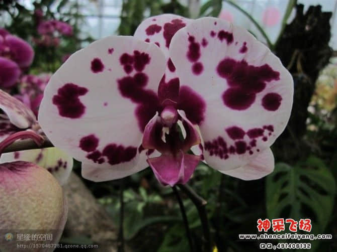 20120212214319.jpg