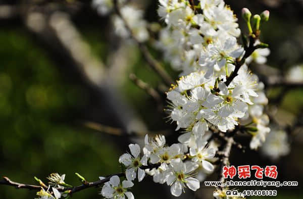 照片 022.jpg