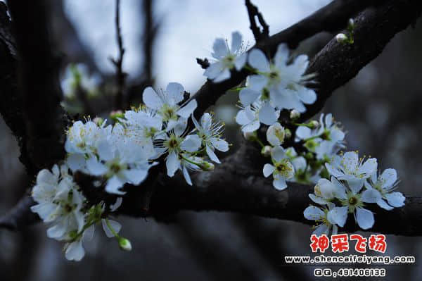 照片 208.jpg