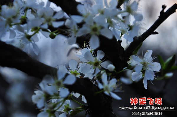照片 210.jpg
