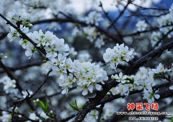 照片 220.jpg