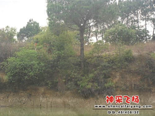 SAM_1155_副本.jpg