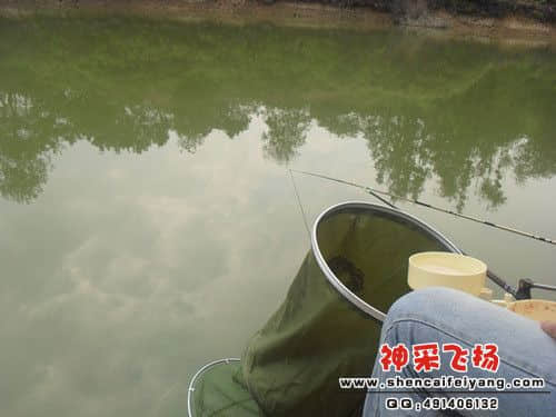 SAM_1149_副本.jpg