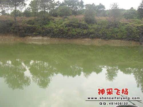 SAM_1153_副本.jpg