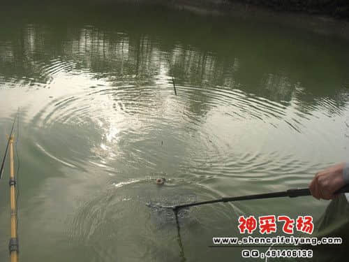 SAM_1158_副本.jpg