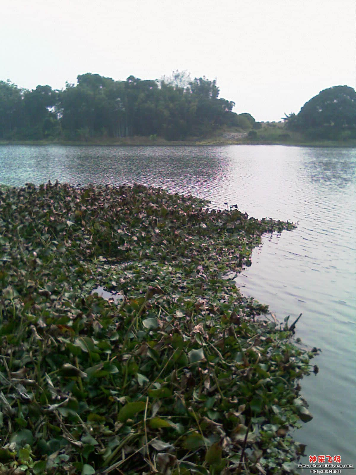 IMAG0277.jpg