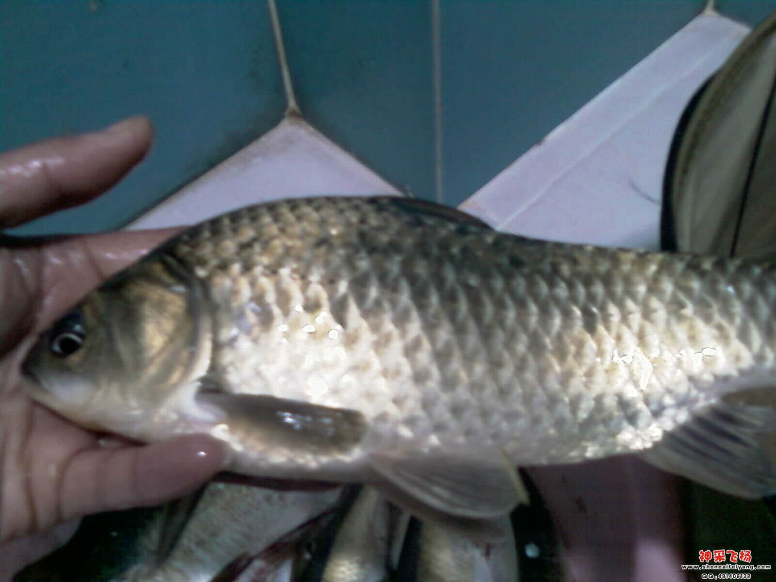 IMAG0282.jpg