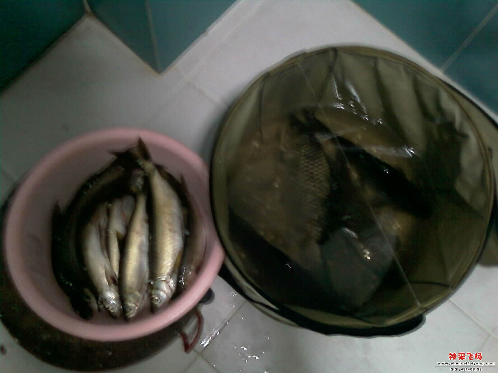IMAG0278.jpg