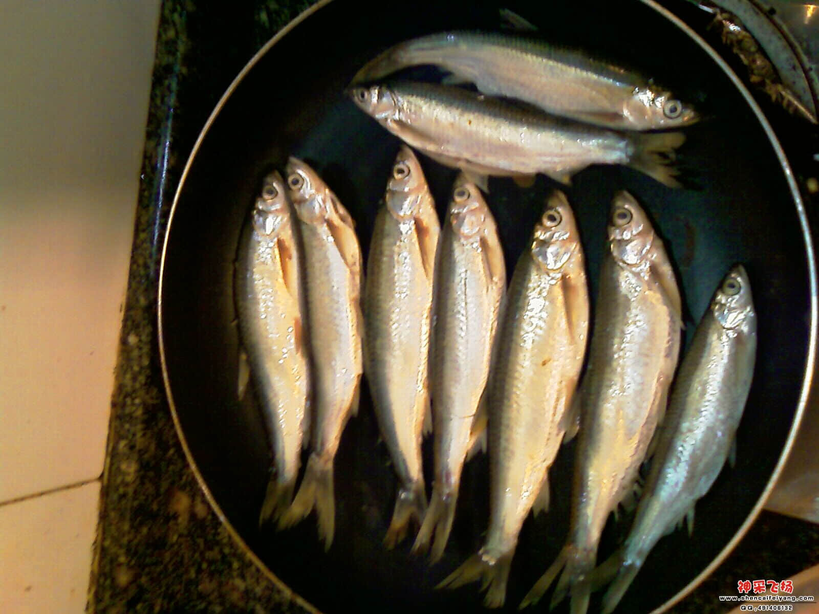 IMAG0283.jpg