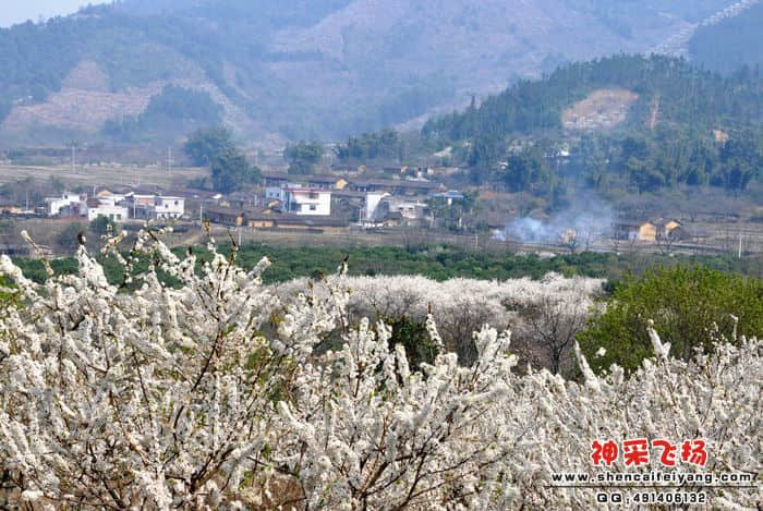 照片 0091.jpg