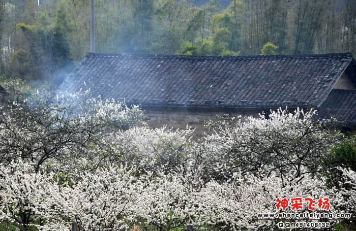 照片 0951.jpg