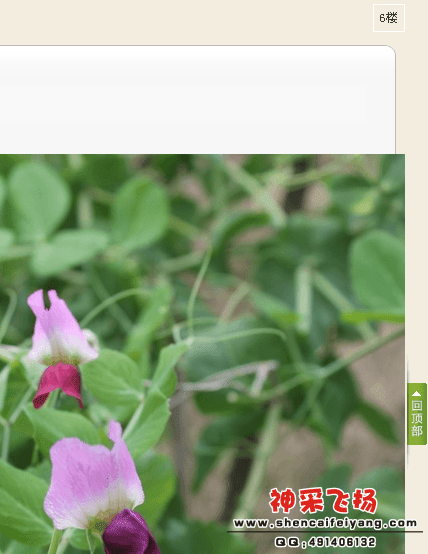 QQ截图20120213051635.png
