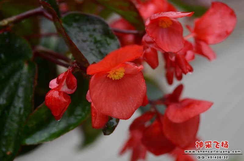 DSC_1039.JPG