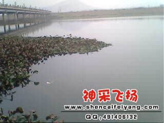 IMG0199A.jpg