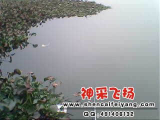 IMG0198A.jpg