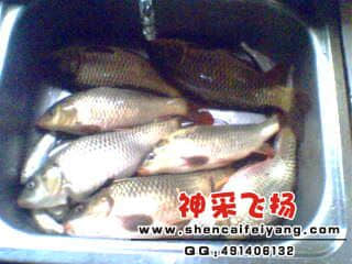 IMG0201A.jpg