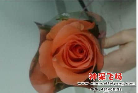 未命名1.jpg