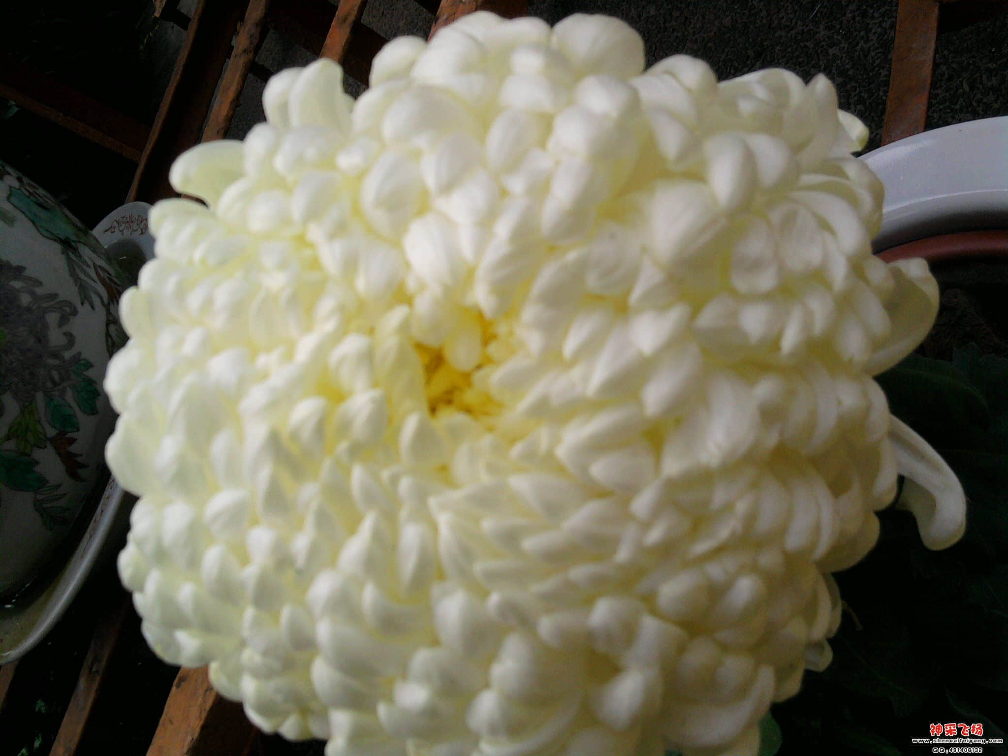 照片063.jpg