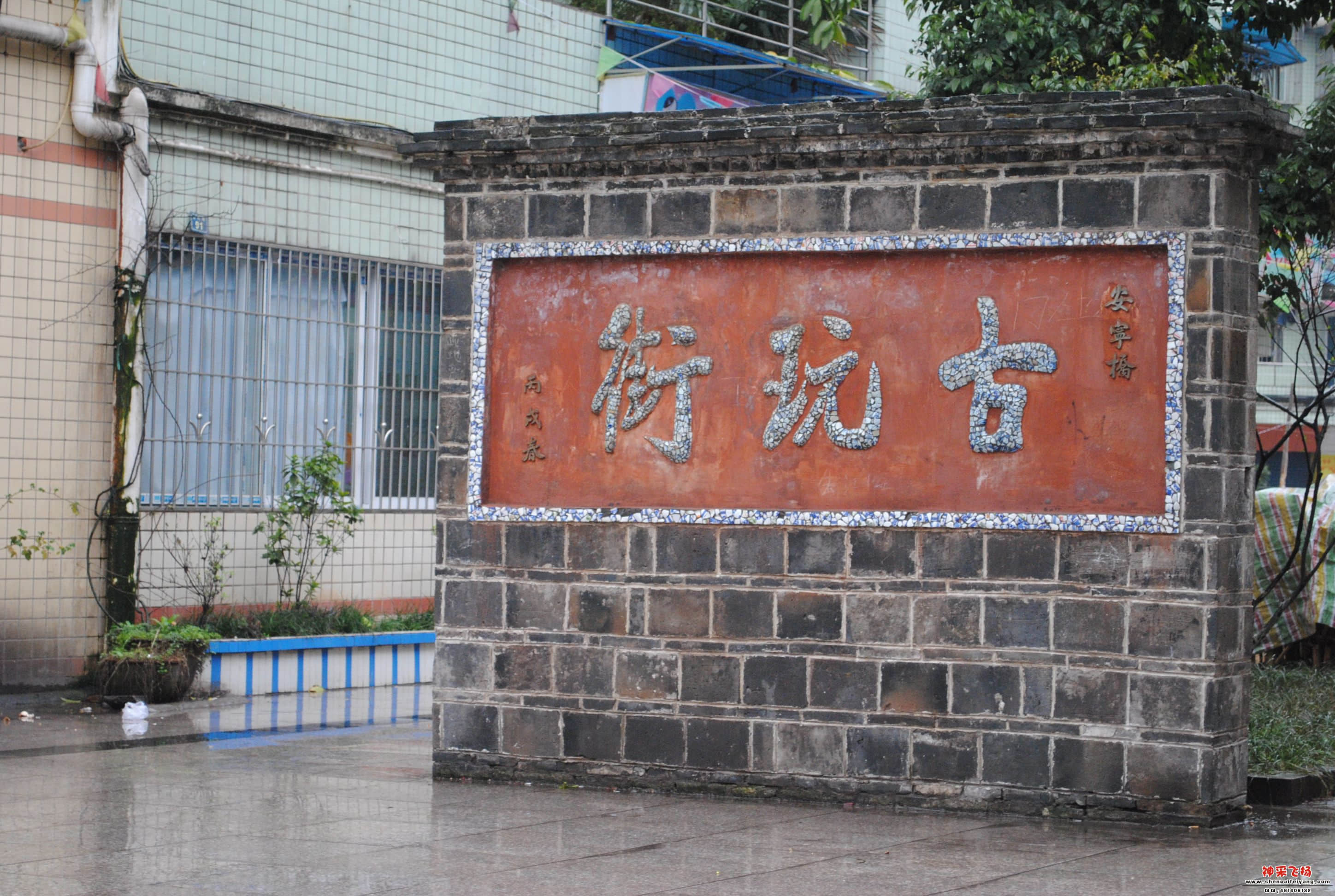 DSC_0110.JPG