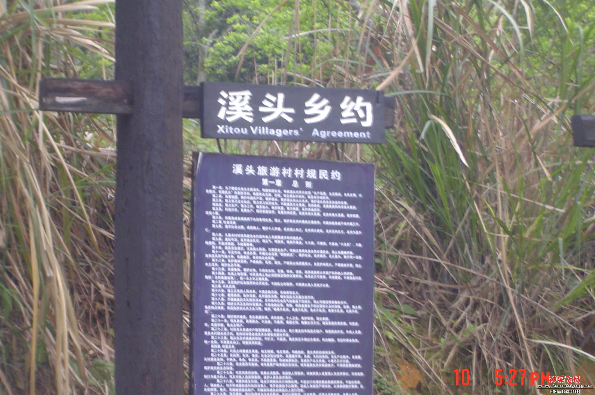 DSC06721.JPG