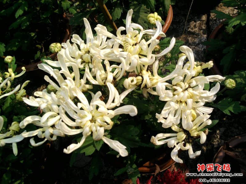 照片015.jpg