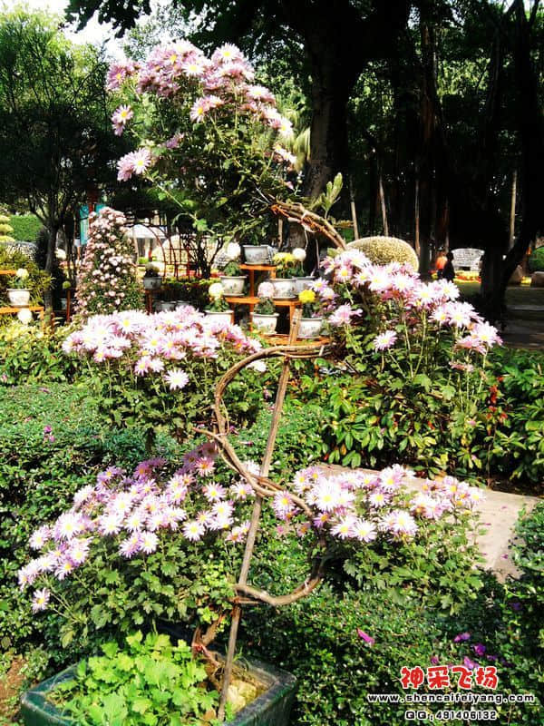 照片029.jpg
