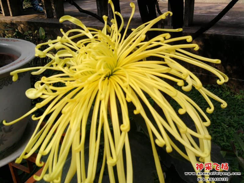 照片035.jpg