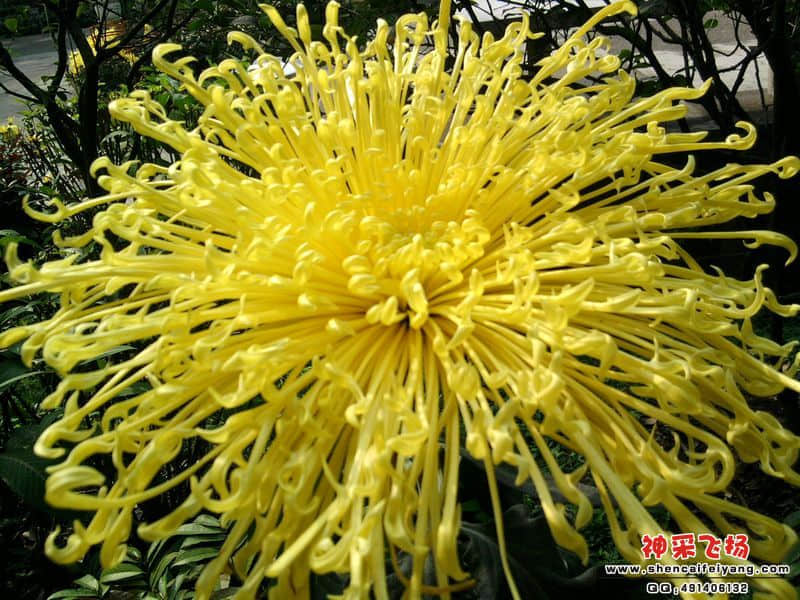 照片039.jpg