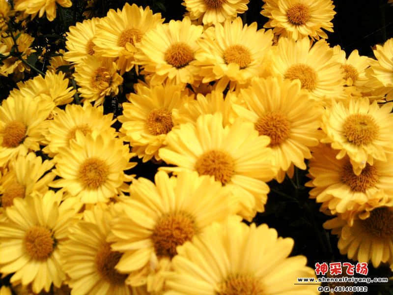 照片060.jpg