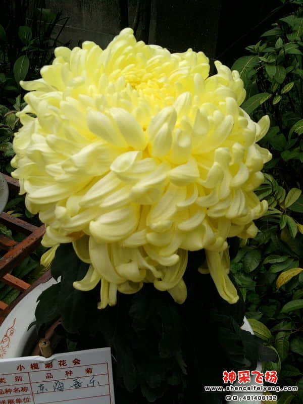 照片064.jpg