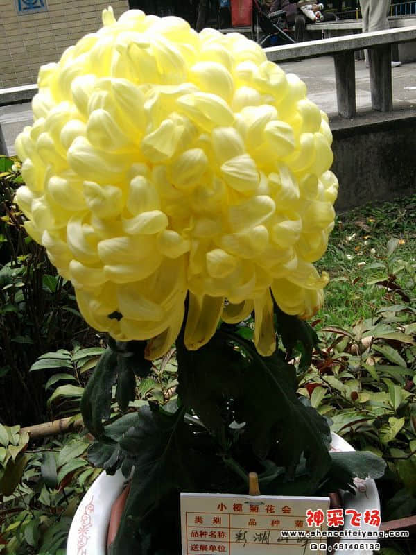 照片065.jpg